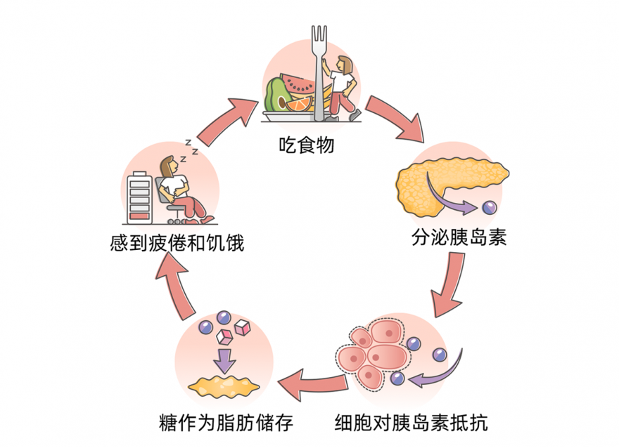 什么是血糖？附空腹/餐后/糖化控制目標